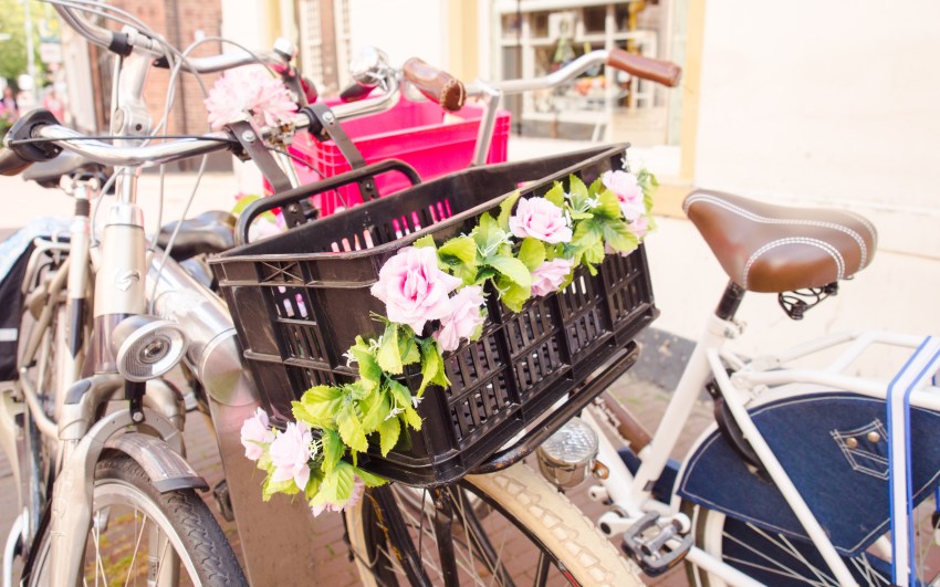 gouda, pays bas, hollande, fromage