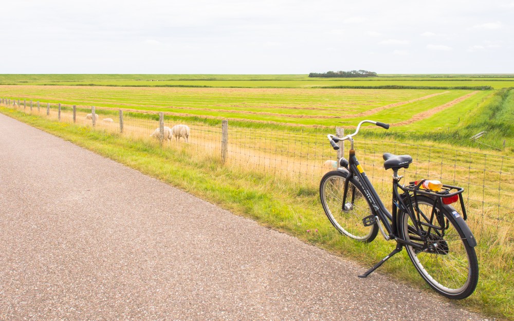 texel, wadden, pays bas, vélo, voyage