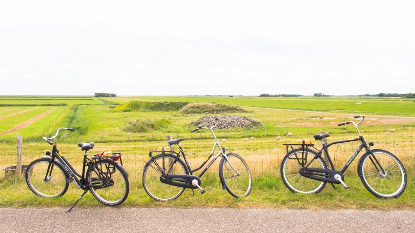 wadden, texel, pays bas