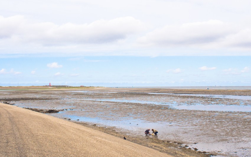 texel, wadden, pays bas, vélo, voyage