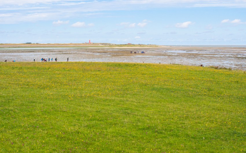 texel, wadden, pays bas, vélo, voyage