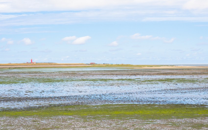 texel, wadden, pays bas, vélo, voyage