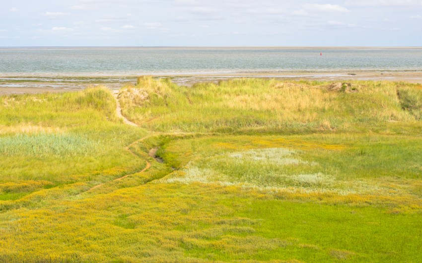 texel, wadden, pays bas, vélo, voyage