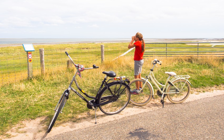 texel, wadden, pays bas, vélo, voyage