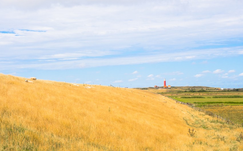 texel, wadden, pays bas, vélo, voyage