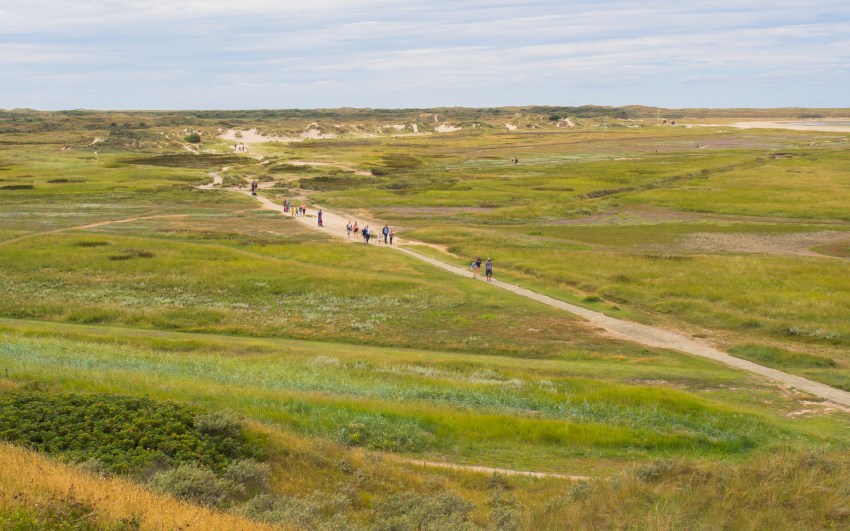 texel, wadden, pays bas, vélo, voyage