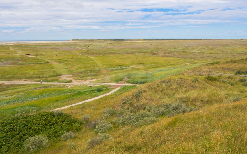 texel, wadden, pays bas, vélo, voyage