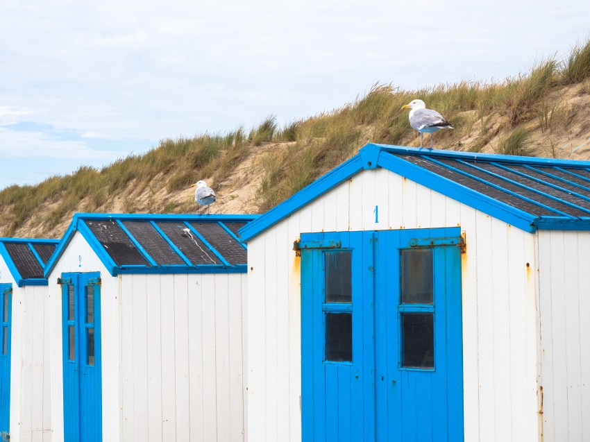 texel, wadden, pays bas, vélo, voyage