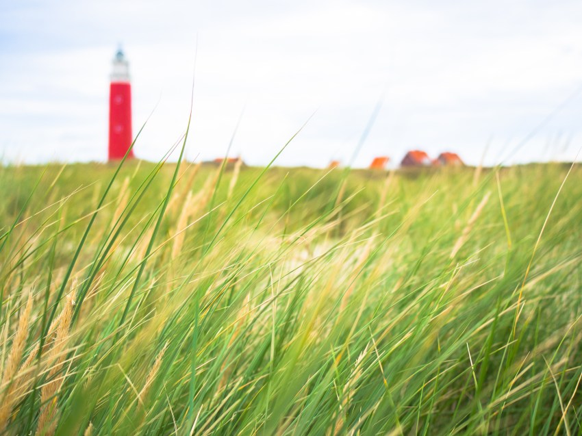 texel, wadden, pays bas, vélo, voyage