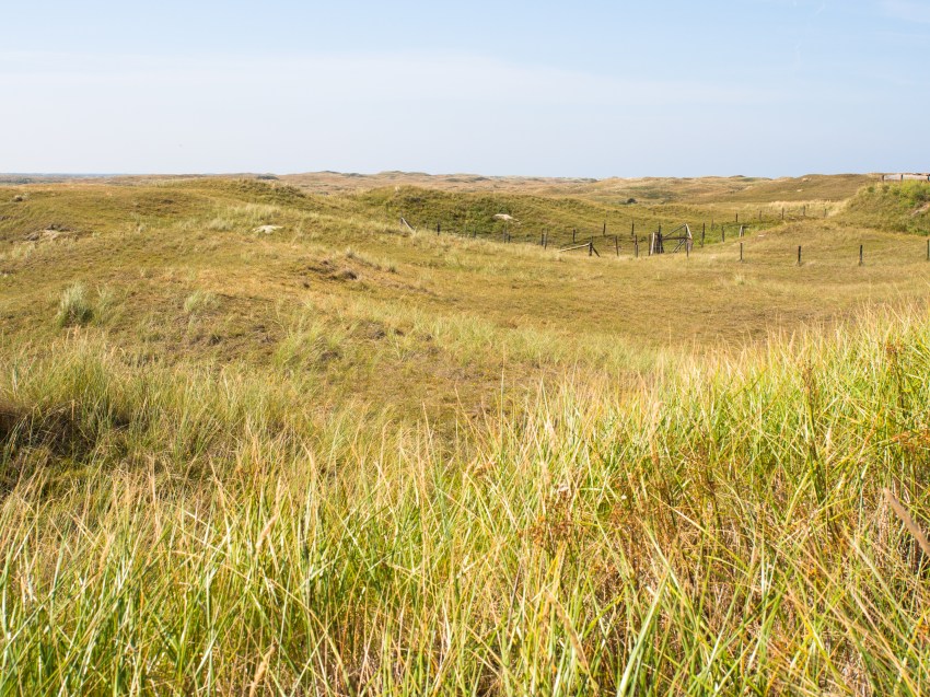 texel, wadden, pays bas, vélo, voyage