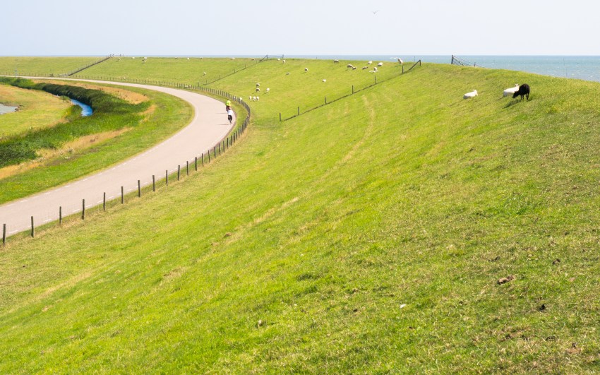 texel, wadden, pays bas, vélo, voyage