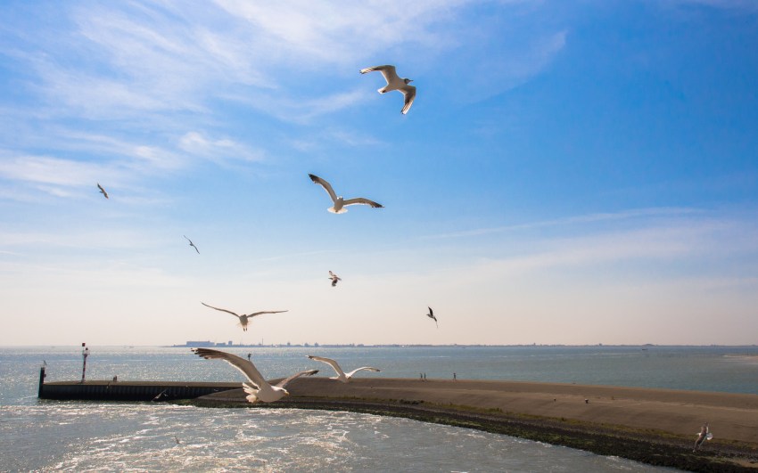 texel, wadden, pays bas, vélo, voyage
