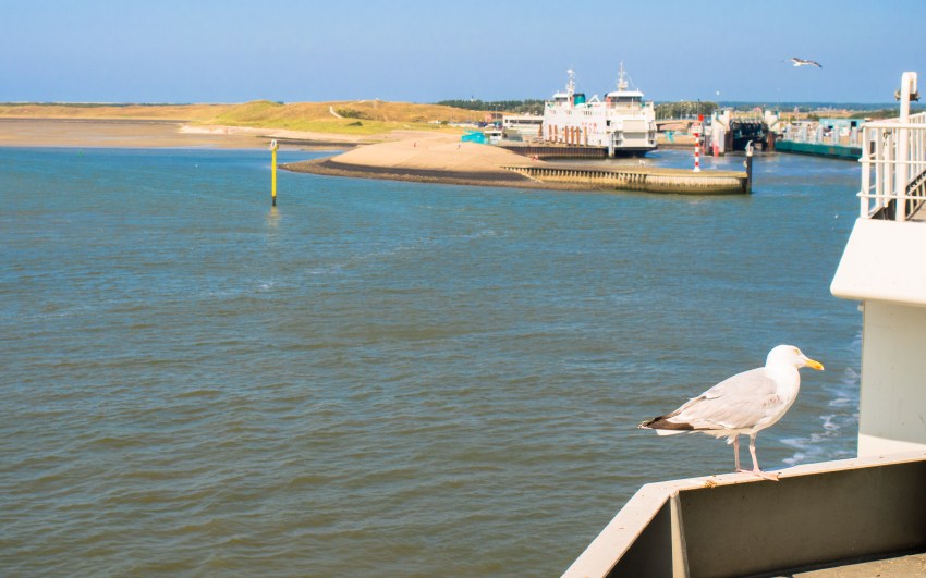 texel, wadden, pays bas, vélo, voyage