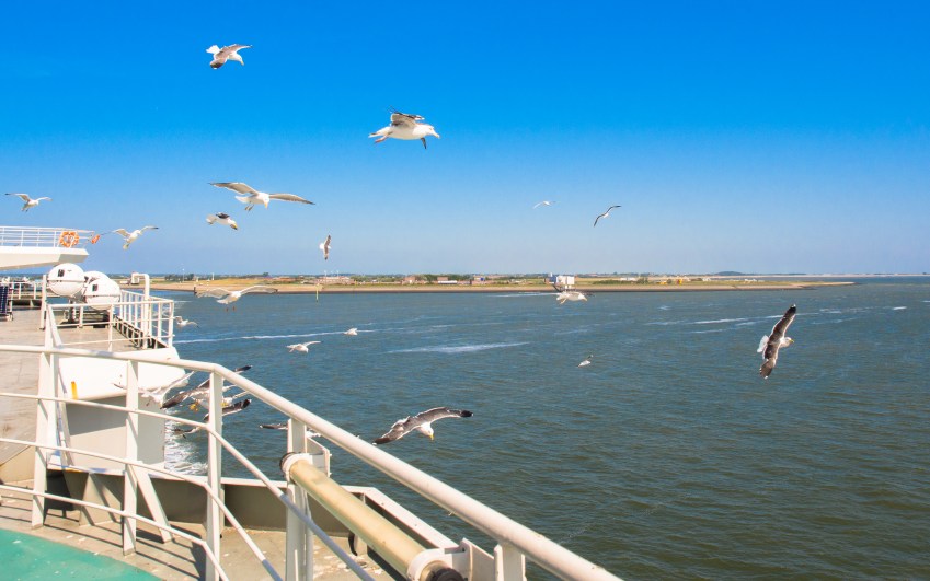 texel, wadden, pays bas, vélo, voyage