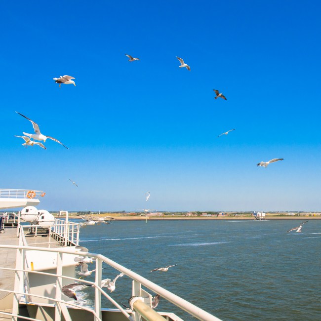 texel, wadden, pays bas, vélo, voyage