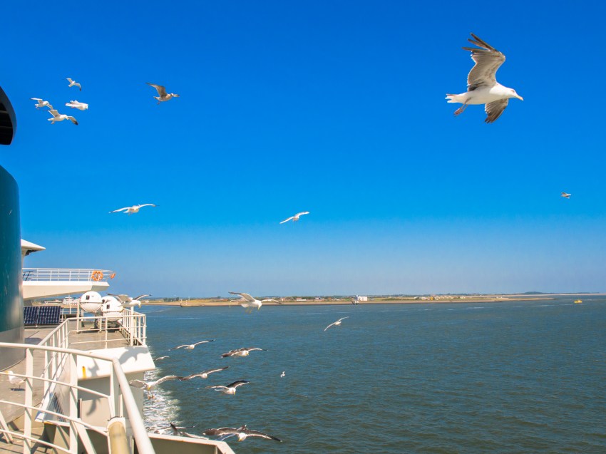 texel, wadden, pays bas, vélo, voyage