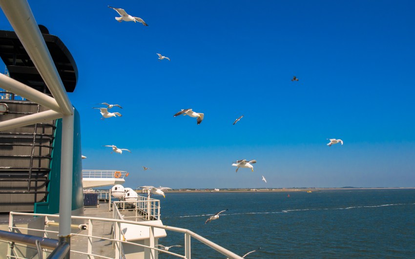 texel, wadden, pays bas, vélo, voyage