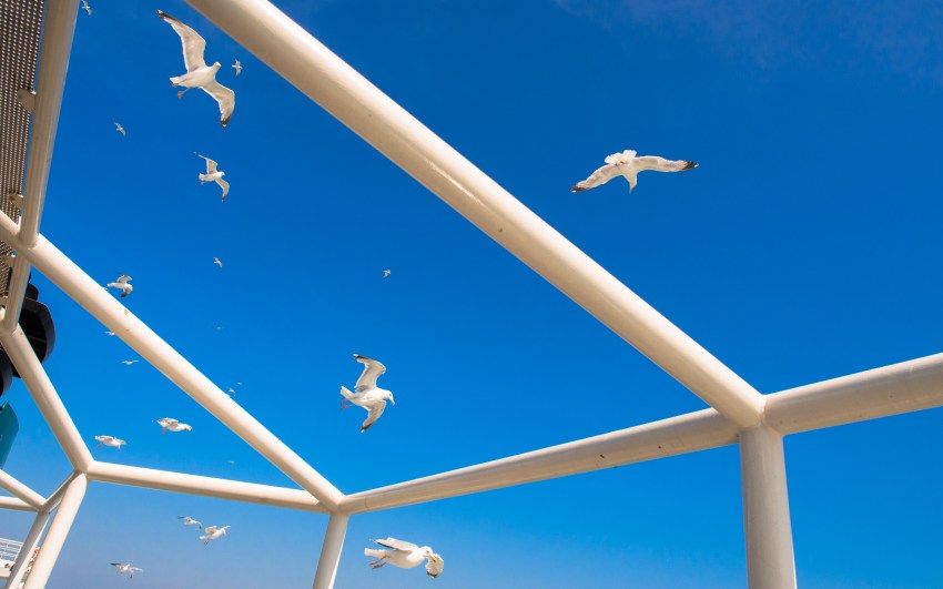 texel, wadden, pays bas, vélo, voyage