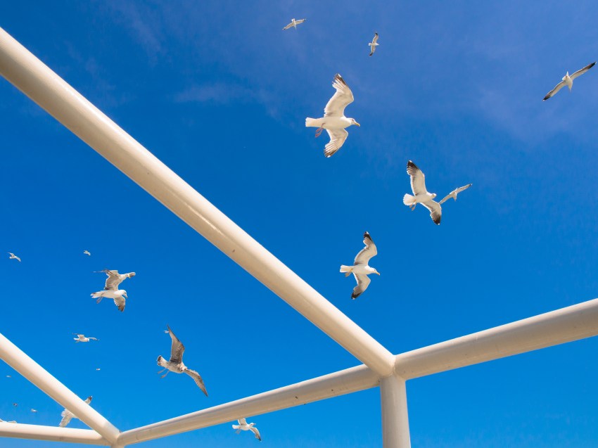 texel, wadden, pays bas, vélo, voyage