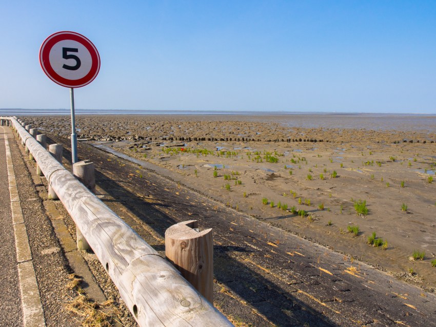 ameland, wadden, pays bas
