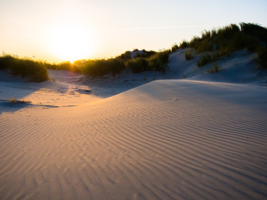 ameland, wadden, pays bas