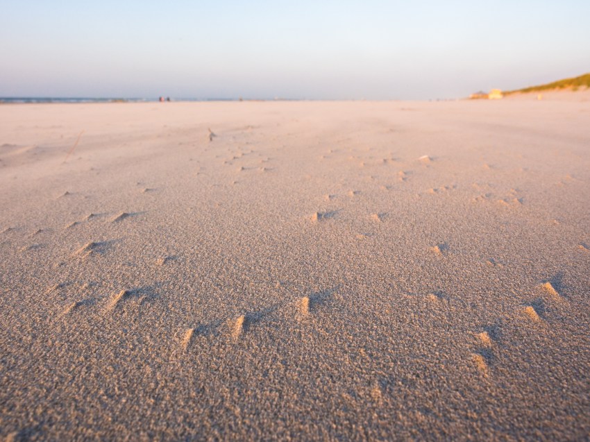 ameland, wadden, pays bas