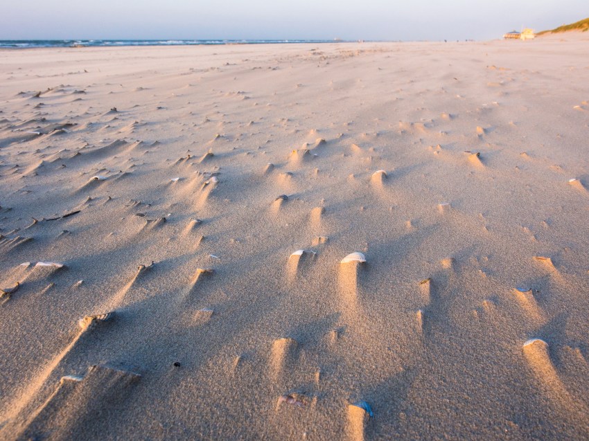 ameland, wadden, pays bas