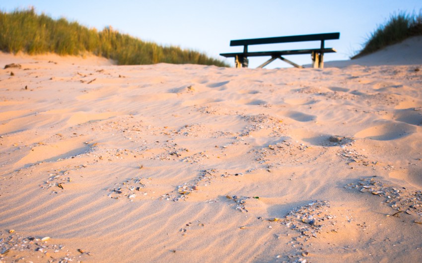 ameland, wadden, pays bas