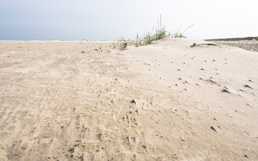 ameland, wadden, pays bas