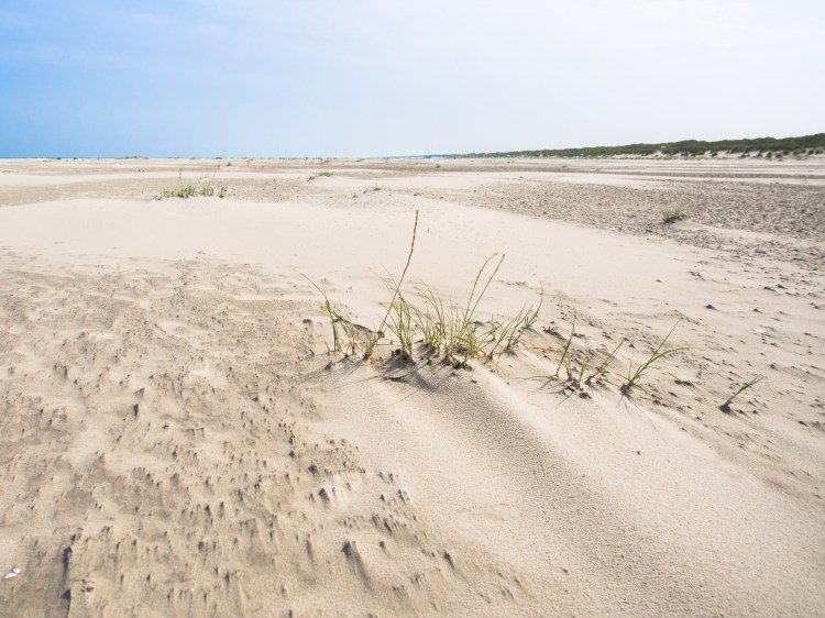 ameland, wadden, pays bas