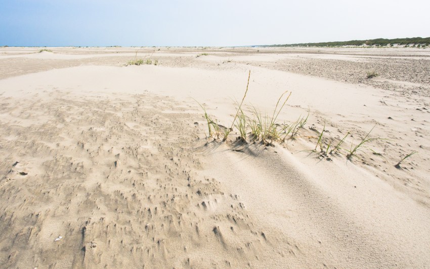 ameland, wadden, pays bas