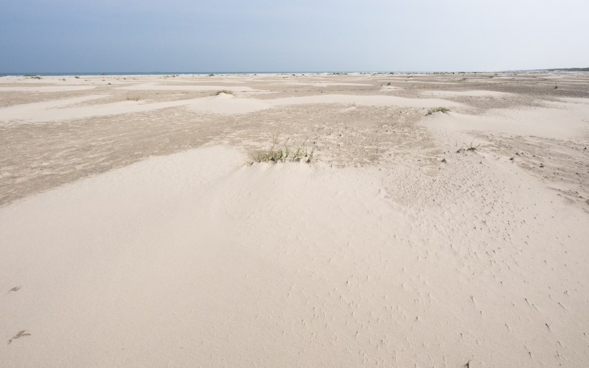 ameland, wadden, pays bas