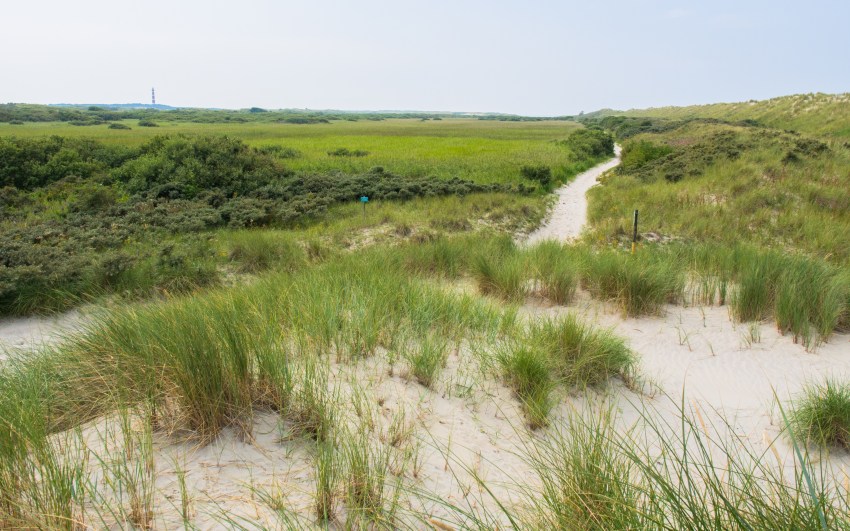 ameland, wadden, pays bas