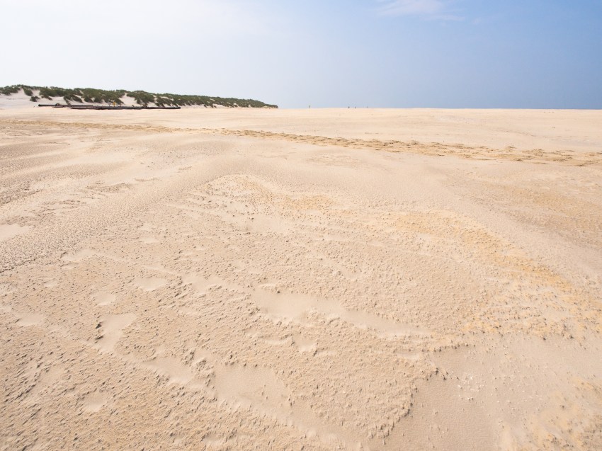ameland, wadden, pays bas