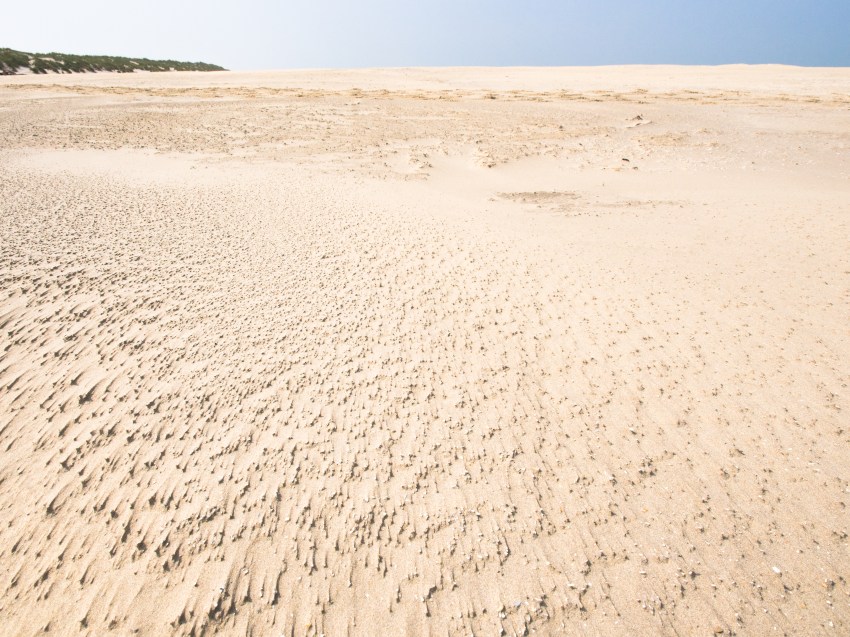 ameland, wadden, pays bas