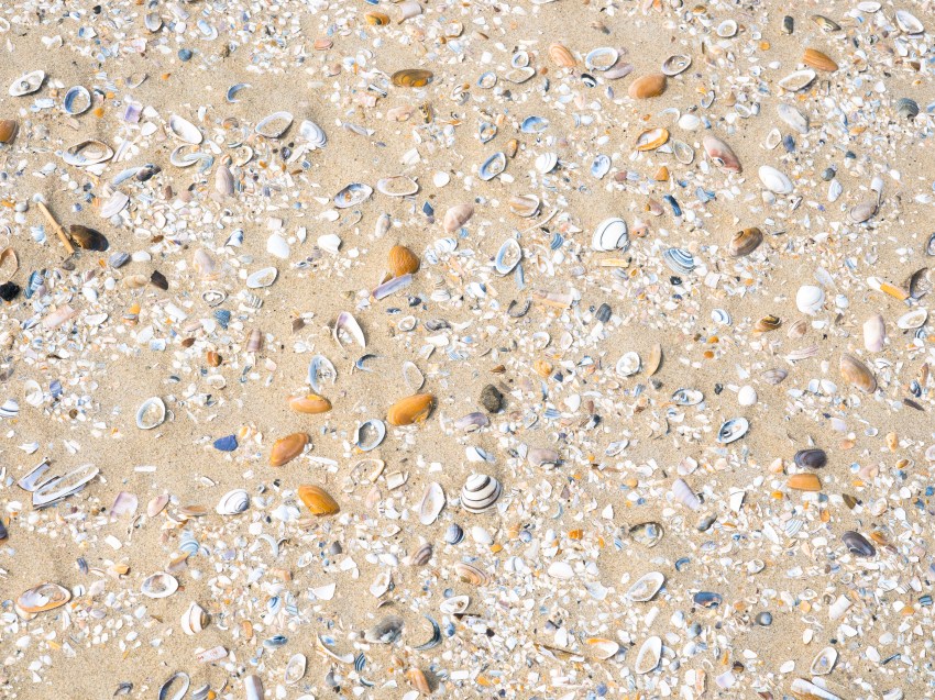 ameland, wadden, pays bas