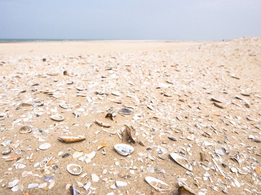 ameland, wadden, pays bas