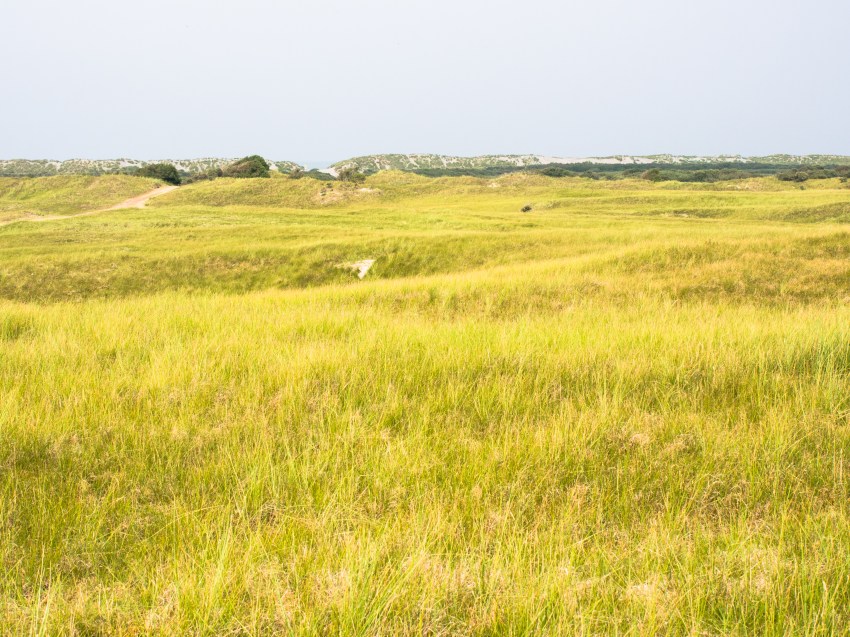 ameland, wadden, pays bas