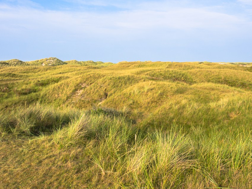 ameland, wadden, pays bas