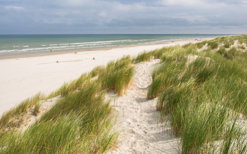 ameland, wadden, pays bas