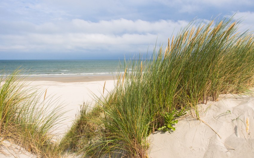 ameland, wadden, pays bas