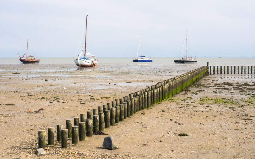 ameland, wadden, pays bas