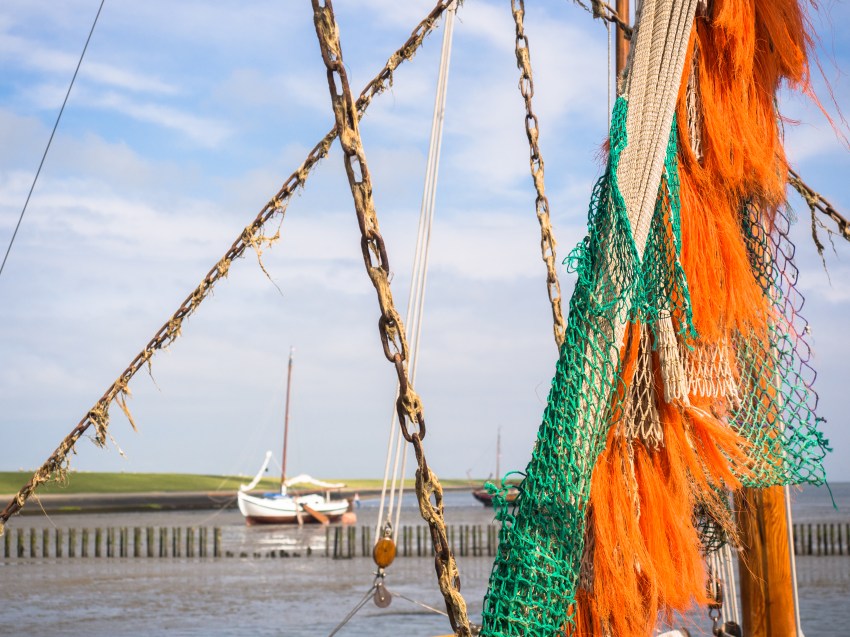 ameland, wadden, pays bas