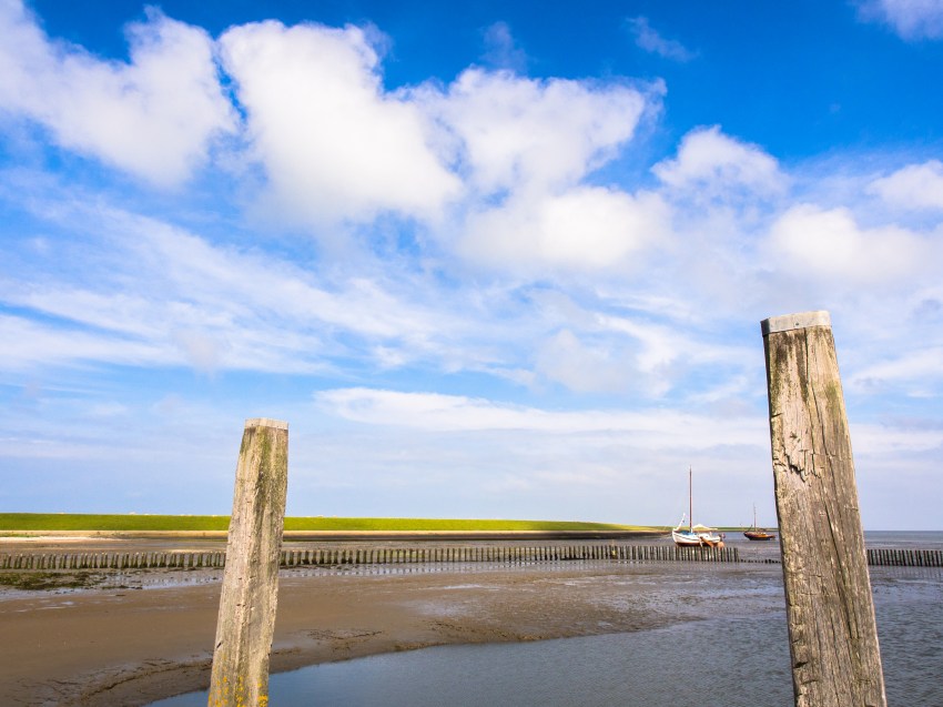 ameland, wadden, pays bas