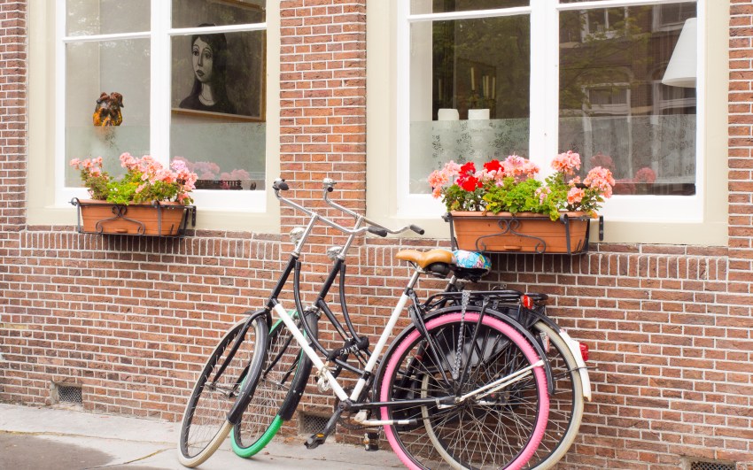 edam, pays bas, hollande