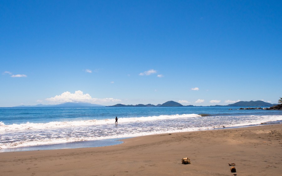 bananier, plage, guadeloupe
