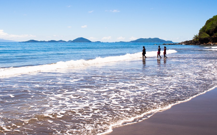 bananier, plage, guadeloupe