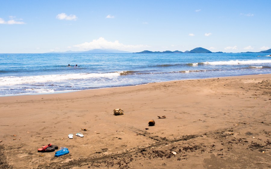 bananier, plage, guadeloupe