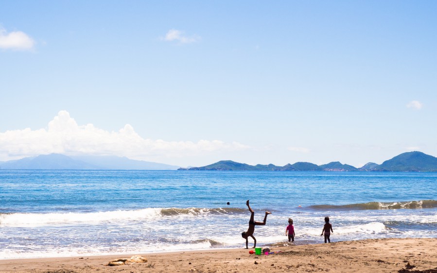 bananier, plage, guadeloupe