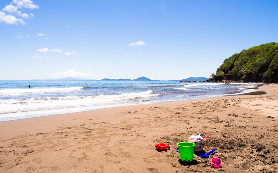 bananier, plage, guadeloupe